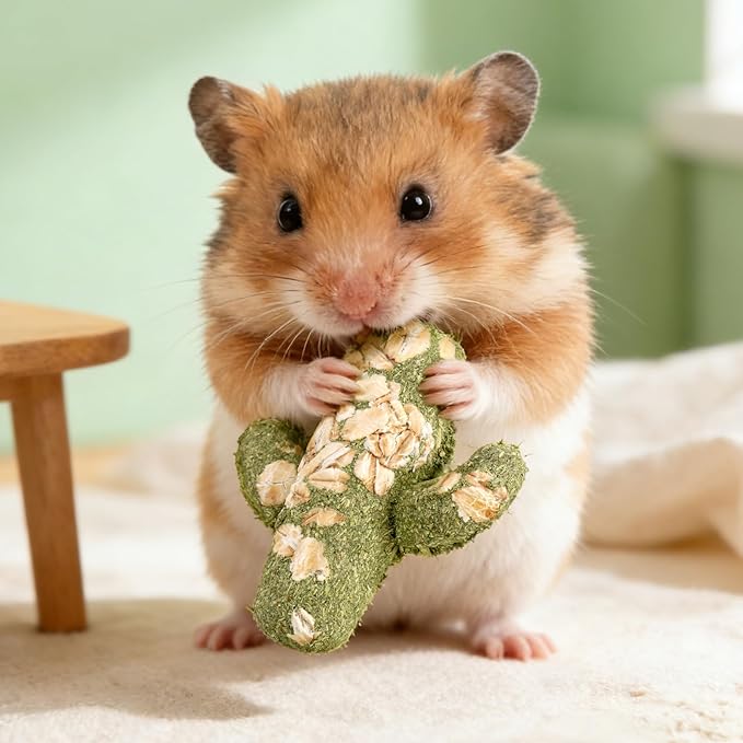 Abizoo Rabbit Chew Toys Natural Timothy Hay Oat Bunny Treats Snack Bunny Chew Sticks 9 Pcs Compressed Cactus Bunnies Enrichment Toys for Rabbit Guinea Pig Hamster Chinchilla Gerbil Dental Care