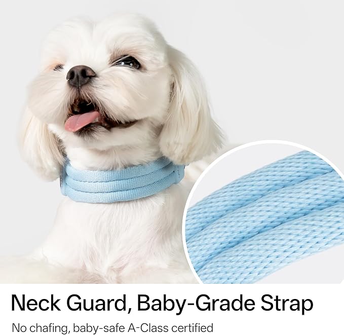 Ultra Comfort Dog Collar Soft Padded Adjustable Nylon Collar QR Code Anti-Lost Comfortable Cozy Dog Collar with Durable Aluminum Alloy Buckle for Small to Large Dogs (Sierra Blue, S)