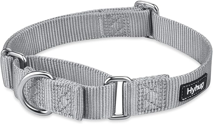 Hyhug Martingale Collar for Dogs Large Gray |Escape - Proof Heavy Duty Nylon Durable No Pull, Ideal for Training & Daily Walks