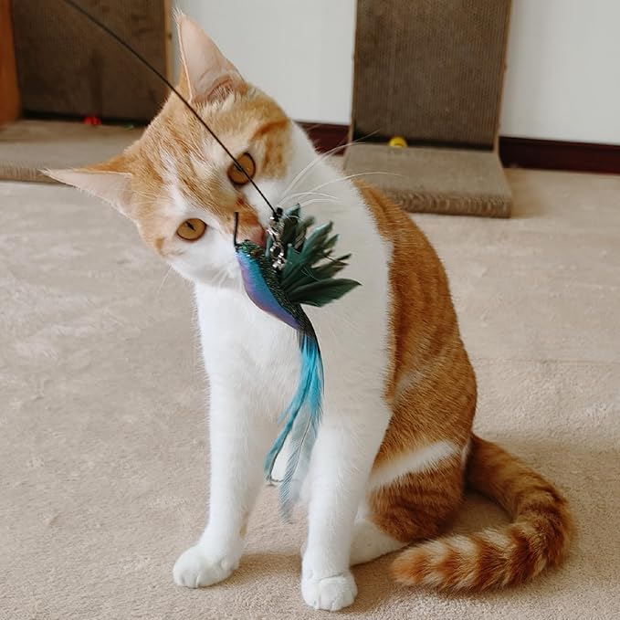 Interactive Cat Toys for Indoor Cats - 35'' Steel Wire and 6PCS Feather Bird Refills,Teaser Toy,Cat Wand Toy,Feathers & Bells, Realistic Bird Impression (7 PCS)