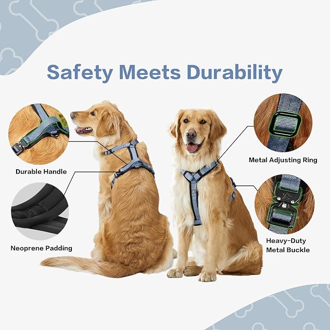 PawsPassion Dog Harness for Medium Dogs, No Pull Dog Harness Easy Walk with Metal Hardware, Ergonomic Y-Shaped Design, Soft Padding, Padded Handle, Durable High-Tensile Nylon (Horizon, M)