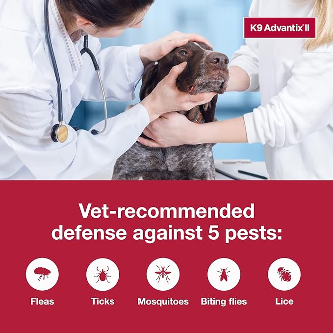 K9 Advantix II XL Dog Vet-Recommended Flea, Tick & Mosquito Treatment & Prevention | Dogs Over 55 lbs. | 4-Mo Supply