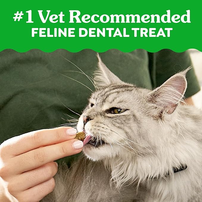 Greenies Feline Veterinarian-Recommended Adult Natural Dental Cat Treats, Savory Salmon Flavor, 2.1 oz. Pouch