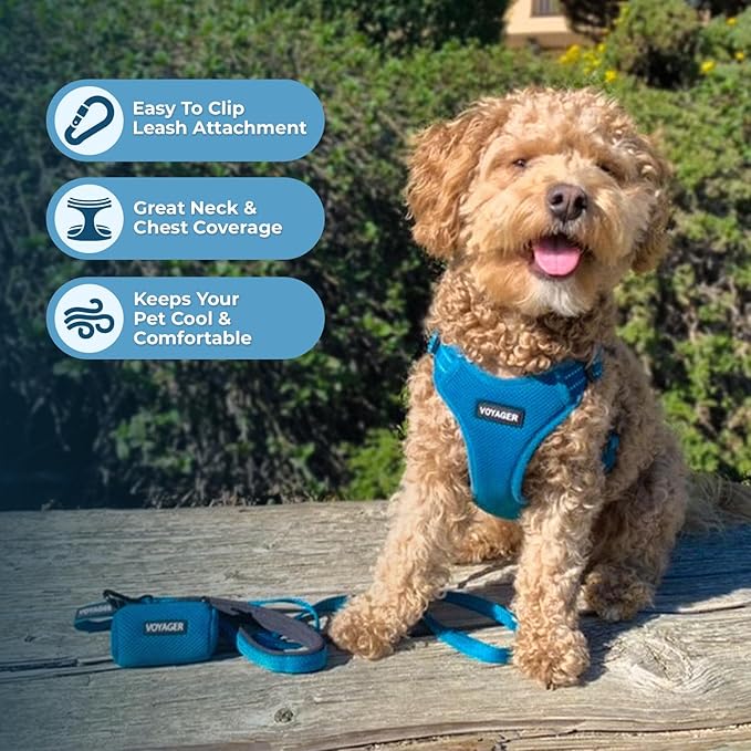 Best Pet Supplies Voyager Mesh Dog Breathable Harness Reflective Stitching, All Weather Adjustable for Walking Training, or Running - Heavy Duty & Durable, Harness Leash Set (Turquoise), XS