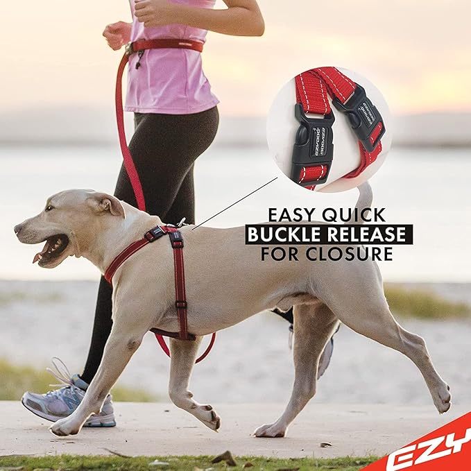 EzyDog Chest Plate No Pull Dog Harness – Escape Proof Harness with Reflective Stitching and Comfort Padding for Easy Walks, Training & Control - Car Restraint Included (Medium, Purple)