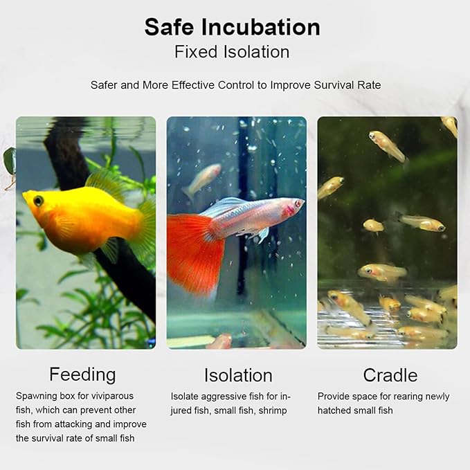 Fish Separation Box, Acrylic Transparent Fish Tank Breeding Isolation Box Aquarium Hatchery Incubator Holder(10CM*10CM*10CM)