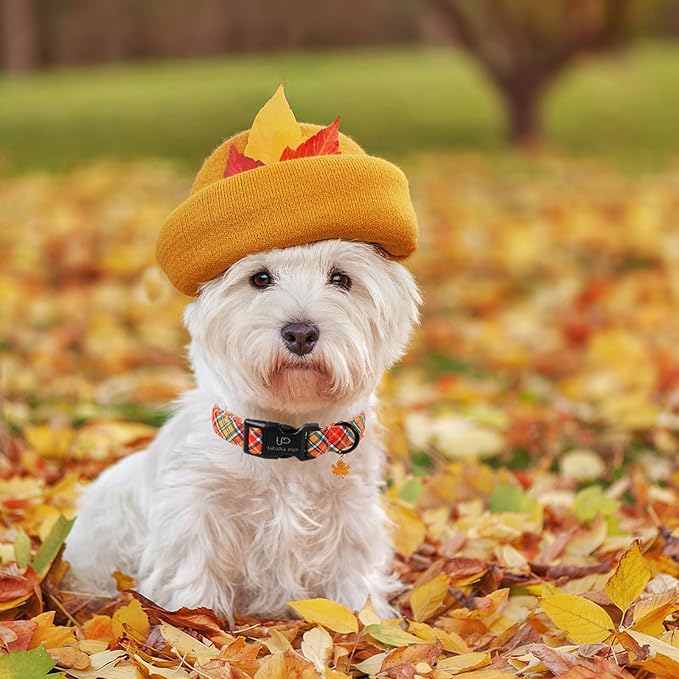 Autumn Plaid Dog Collar – Adjustable Orange Tartan Dog Collar with Fall Leaf Charm, Cozy Fall Vibes Orange Yellow Grid Puppy Collars for Small/Medium/Large Dogs