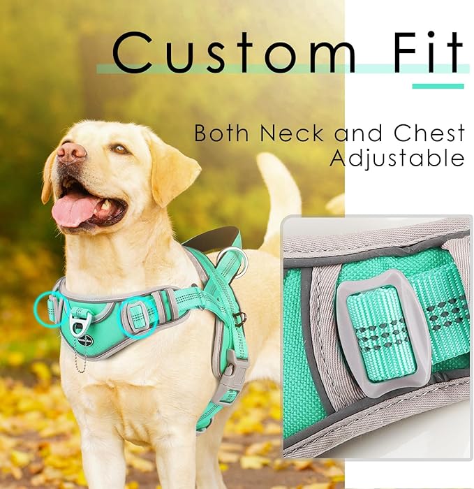ADVENTUREMORE Medium Dog Harness - No Pull, Reflective, Escape Proof with Front Clip Handle for Training & Walking - Teal