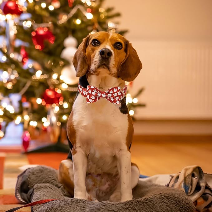 DOGWONG Christmas Santa Dog Collar Bow Adjustable Red Dog Collar Bow Tie Cute Christmas Santa Dog Collar for Small Medium Large Dogs