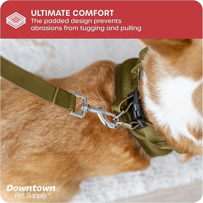 Downtown Pet Supply Step in Dog Harness for Small Dogs No Pull, Large, Hunter Green - Adjustable Harness with Padded Mesh Fabric and Reflective Trim - Buckle Strap Harness for Dogs