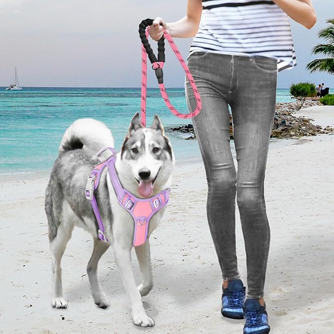 BARKBAY No Pull Dog Harness Large Reflective Dog Harness with Front Clip and Easy Control Handle for Walking Training Running with ID tag Pocket(Baby Pink & Violet Purple,L)