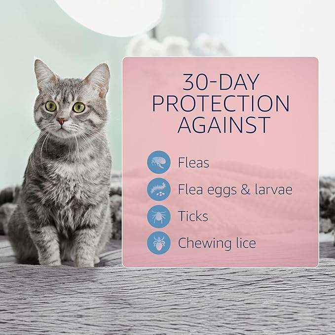 Catego for Cats Flea and Tick Treatment & Prevention (Over 1.5 lbs) 6-Month Supply