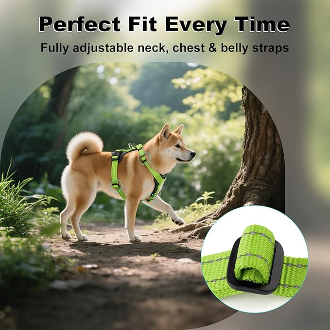 Plutus Pet Adjustable No Pull Dog Harness with Leather Accents, Heavy Duty Reflective Nylon Vest for Training, Hiking, Easy Walk Harness for Small, Medium, Large Dogs (Green, M)