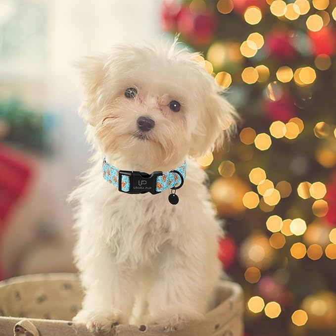 Christmas Dog Collar,Adjustable Gingerbread Pet Collar,Chriatmas Puppy Collars for Small Medium Large Dogs, XL,Neck 16-26in