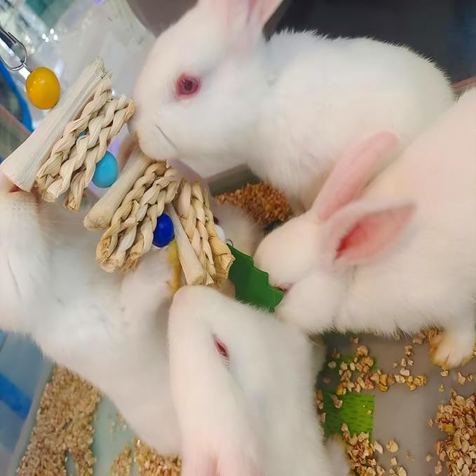 Christmas Bunny Chew Toys,Natural Chinchilla Chew and Treats Toys,Rabbit Toys for Guinea Pigs Hamster Gerbils Chinchilla and Other Small Pets(4pcs)