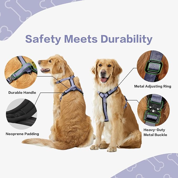 PawsPassion Dog Harness for Medium Dogs, No Pull Dog Harness Easy Walk with Metal Hardware, Ergonomic Y-Shaped Design, Soft Padding, Padded Handle, Durable High-Tensile Nylon (Lilac Breeze, M)
