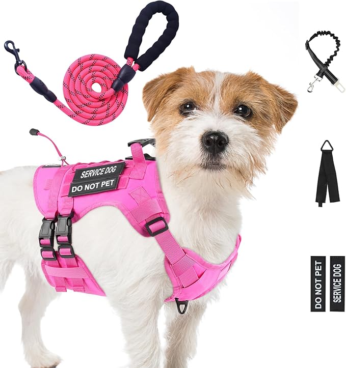 No Pull Tactical Dog Harness for Small Dogs, Escape Proof Molle Dog Vest Harness and Leash Set, Adjustable Military Service Dog Harness with Handle for Medium Large Dogs (Pink, S)