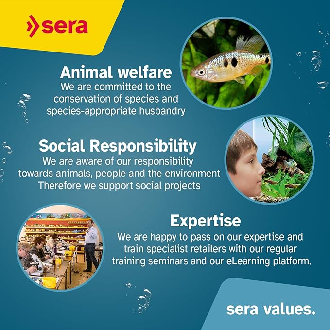 Sera Koi Royal Mini 1,000 ml 11.2 oz (320 g) | Floating koi Fish Food pellets for Ponds | Natural Fish Food with Insect Protein, Omega acids & prebiotics | Supports Growth, Immunity & Clear Water