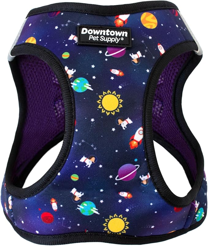 Downtown Pet Supply Step-in Dog Harness – No Pull, Adjustable Padded Mesh with Reflective Trim, Secure Buckle Strap – Comfortable & Breathable Small Dog Harness, XX-Small, Space