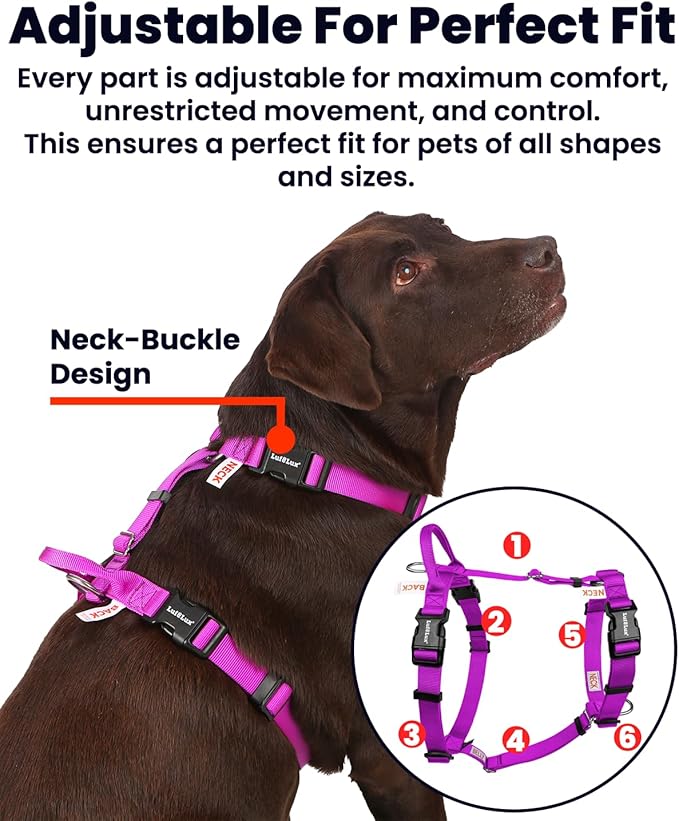 Non Restrictive Large Dog Harness, Easy Walk Freedom No Pull Harness, Keep Balance, Lightweight, Neck Buckle,Back and Front Lesh Clips, Sewn-in Instructions Labels for Easy Use, Purple