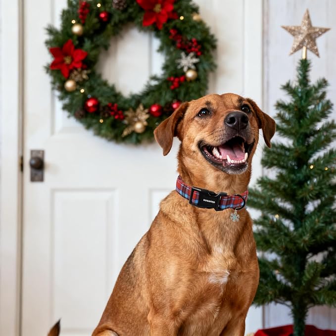 DOGWONG Red Dog Collar, Christmas Red Plaid Dog Collar Durable Soft Fabric Pet Dog Collars Boy Puppy Necklace for Small Medium Large Dogs,Large