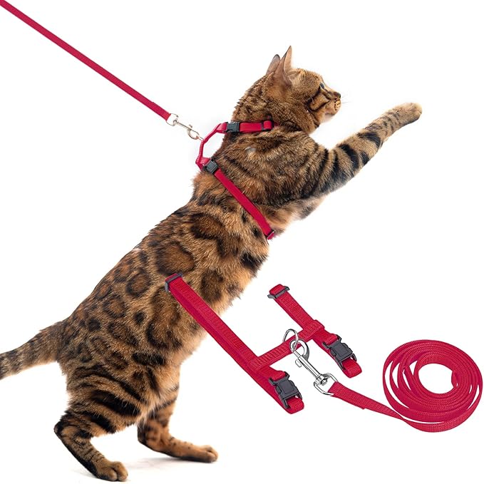 PUPTECK Adjustable Cat Harness and Leash Set Escape Proof Kitten Strap Collar for Walking Travel, Red