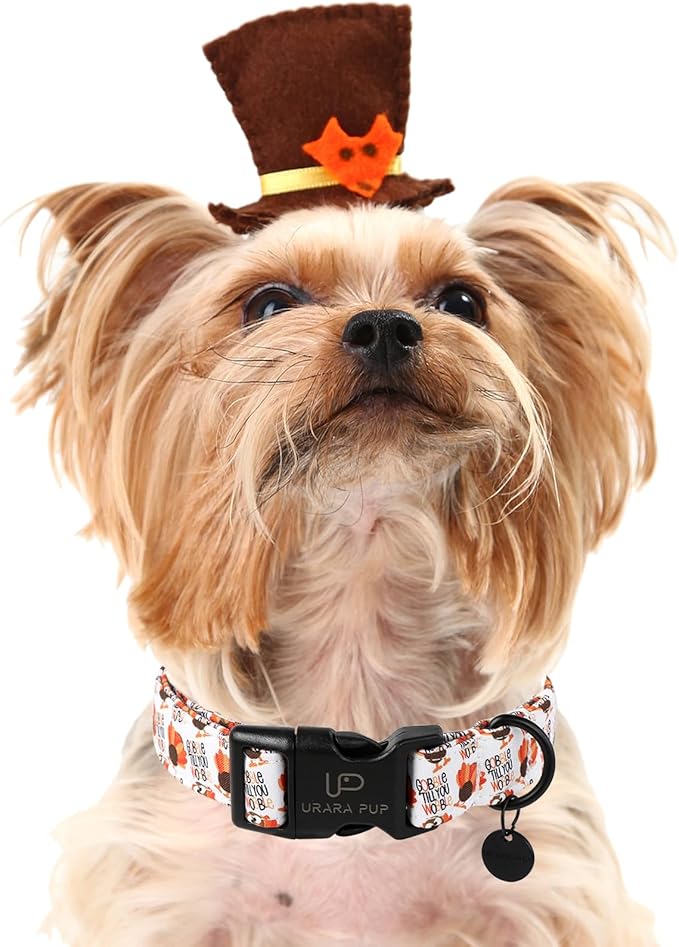 Thanksgiving Dog Collar, Turkey Cotton Collar for Dog or Cat, Autumn Puppy Collar with Lightweight Plastic Buckle,Great Thanksgiving Gift for Girl Boy Dogs,XL