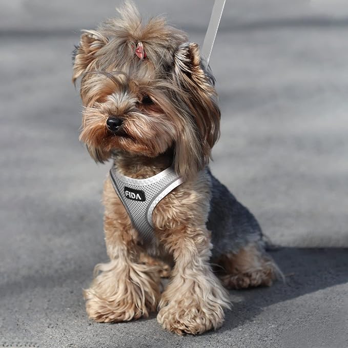Fida Comfy Dog Harness with Leash, Soft Puppy Vest Escape Proof, Breathable Lightweight Soft Mesh, Adjustable Reflective Step-in Harness for Cat & Extra-Small Pet (XS, Grey)