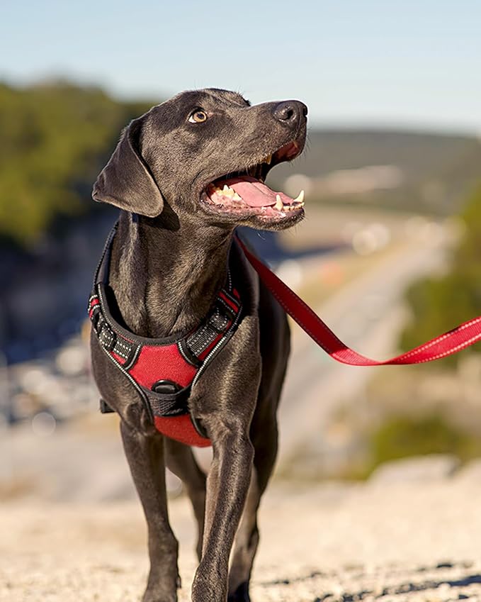 Joytale No Pull Dog Harness for Extra Large Dogs, Reflective Pet Vest with Front Clip, Adjustable Soft Padded Harnesses with Easy Control Handle for Training and Walking, Red, XL