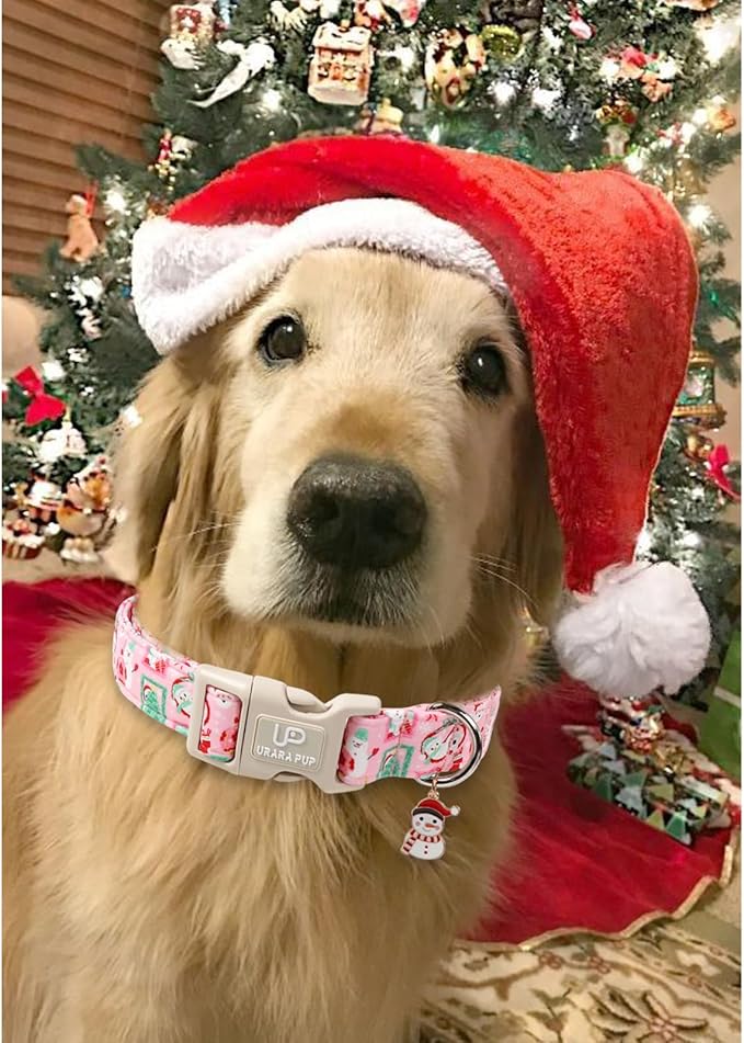 Christmas Dog Collars - Lovely Pink Snowman and Lantern Print Dog Collar - Lightweight, Adjustable Collar for Small to Large Dogs L