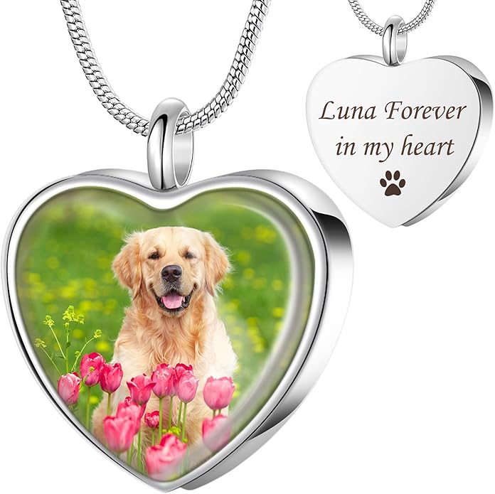 Fanery Sue Pet Ashes Necklace Cremation Jewelry Personalized Picture&Quote Memorial Gifts for Loss of Dog/Cat Urn Necklaces Pets Loss Sympathy Gift Keepsake for Women