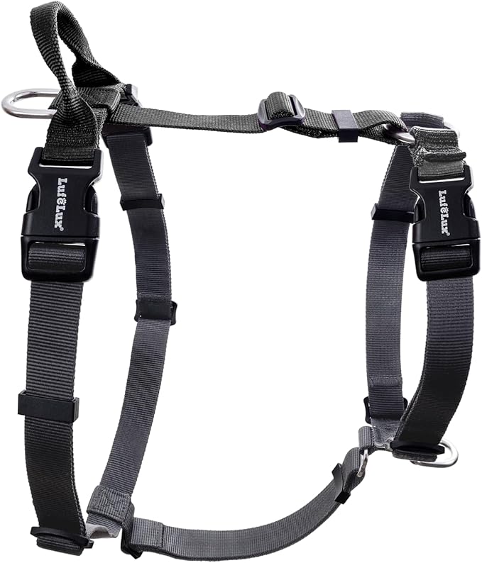 Non-Restrictive Dog Harness, Easy Walk Freedom No Pull Harness, Keep Balance, Neck-Buckle, Six Points Adjustment, 2 Leash Clips for Back and Front Clip (Black/Grey, X-Small)