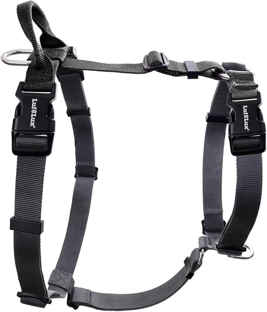 Non-Restrictive Dog Harness Medium Sized Dog, Easy Walk Freedom No Pull Harness, Keep Balance, Neck-Buckle, Six Points Adjustment, 2 Leash Clips for Back/Front Clip, Black/Grey