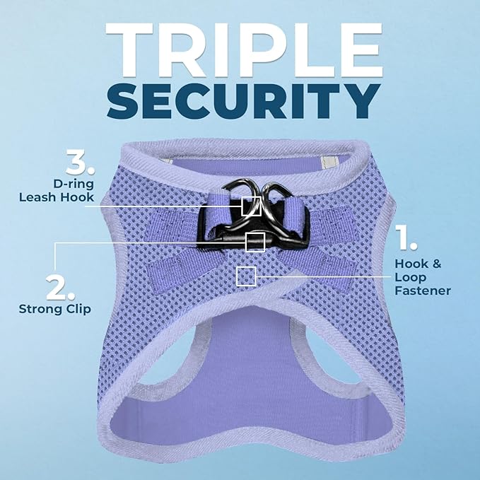 Best Pet Supplies Voyager Step-in Air Harness - All Weather Mesh, Reflective, No Pull Harness for Dogs, Cats - Secure with Hook & Loop Fastener, Buckle, Double D-Rings - Lavender, XXXS