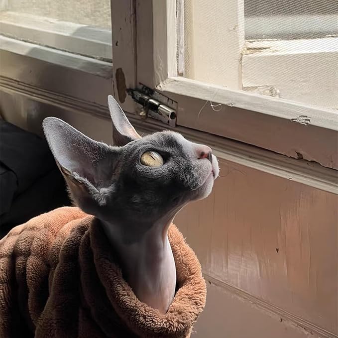 Turtleneck Sweater for Sphynx Cat Soft Coral Fleece Cat Clothes Thick Winter Warm Outfit Coat for Hairless Cats and Small Dogs Apparel with Sleeves (Brown, XXL (13.3-16 lbs))