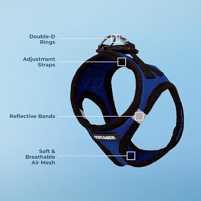 Best Pet Supplies Voyager Step-in Air Harness - All Weather Mesh, Reflective, No Pull Harness for Dogs, Cats - Secure with Hook & Loop Fastener, Buckle, Double D-Rings - Royal Blue/Black Trim, L