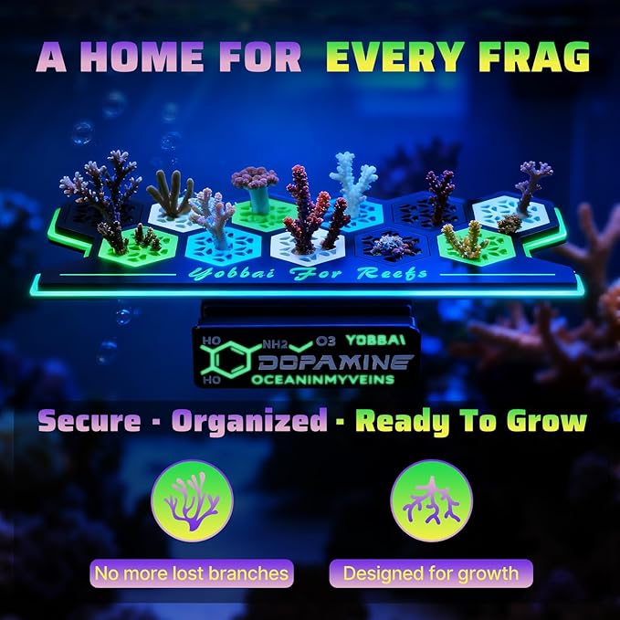 Magnetic Coral Frag Rack for Reef Tank, Saltwater Aquarium Frag Holder with 11 Slots & 13 Frag Plugs, Strong Magnet Glass Mount (Up to ~2cm), Multi-Use Aquarium & Hydroponic Plant / Reptile Display Stand