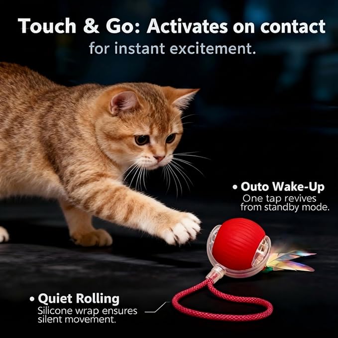 JBD Interactive Cat Toy Ball for Indoor Cats - Silent Automatic Rolling & Self Moving Electric Kitten Toys, USB Rechargeable Smart Ball with Tail, Motion Activated Hunting Exercise for Bored Cats