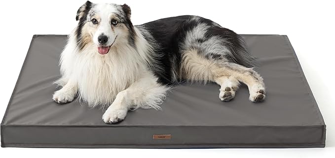 LE SURE Outdoor Waterproof Dog Bed for Large Dogs, Orthopedic Egg Crate Foam Pet Bed with Oxford Fabric Surface and Removable and Durable Cover, Machine Washable, 36''x27'', Grey
