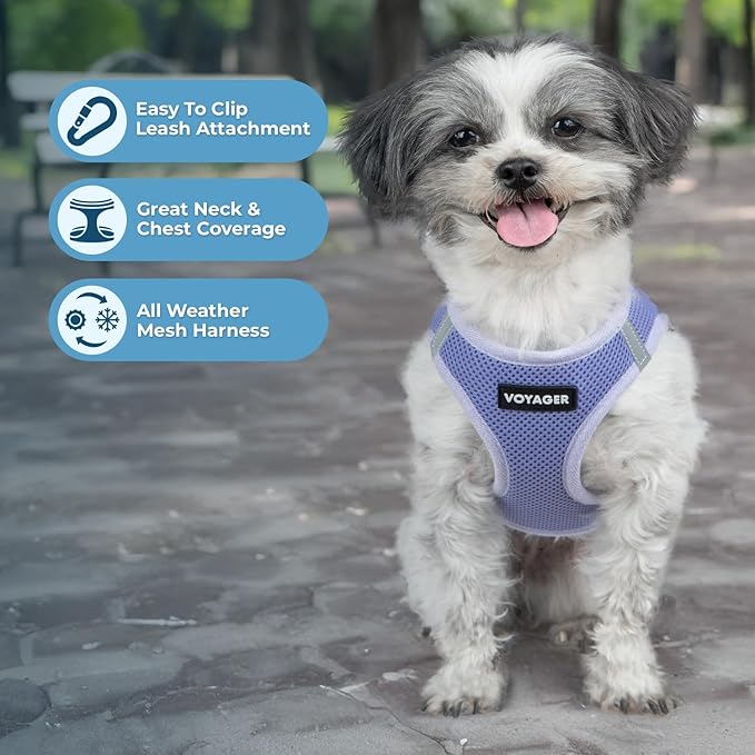 Best Pet Supplies Voyager Step-in Air Harness - All Weather Mesh, Reflective, No Pull Harness for Dogs, Cats - Secure with Hook & Loop Fastener, Buckle, Double D-Rings - Lavender, XXXS