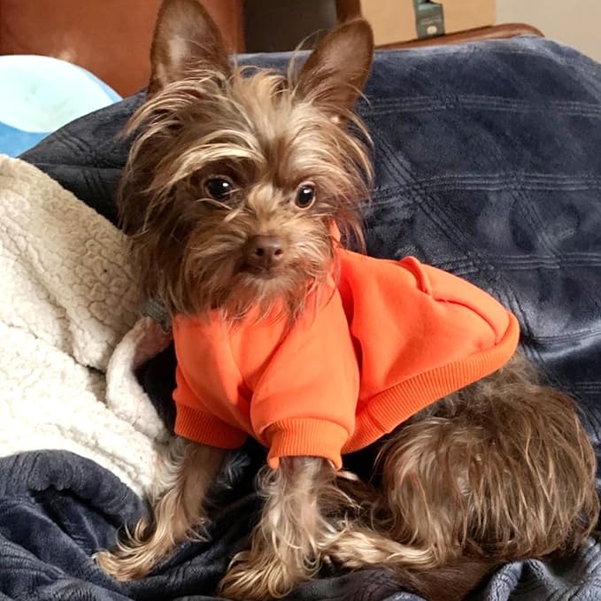 Jecikelon Winter Dog Hoodie Sweatshirts with Pockets Warm Dog Clothes for Small Dogs Chihuahua Coat Clothing Puppy Cat Custume (Orange, XX-Small)