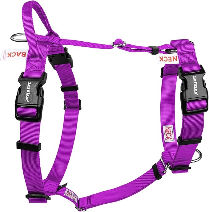 Non Restrictive Large Dog Harness, Easy Walk Freedom No Pull Harness, Keep Balance, Lightweight, Neck Buckle,Back and Front Lesh Clips, Sewn-in Instructions Labels for Easy Use, Purple