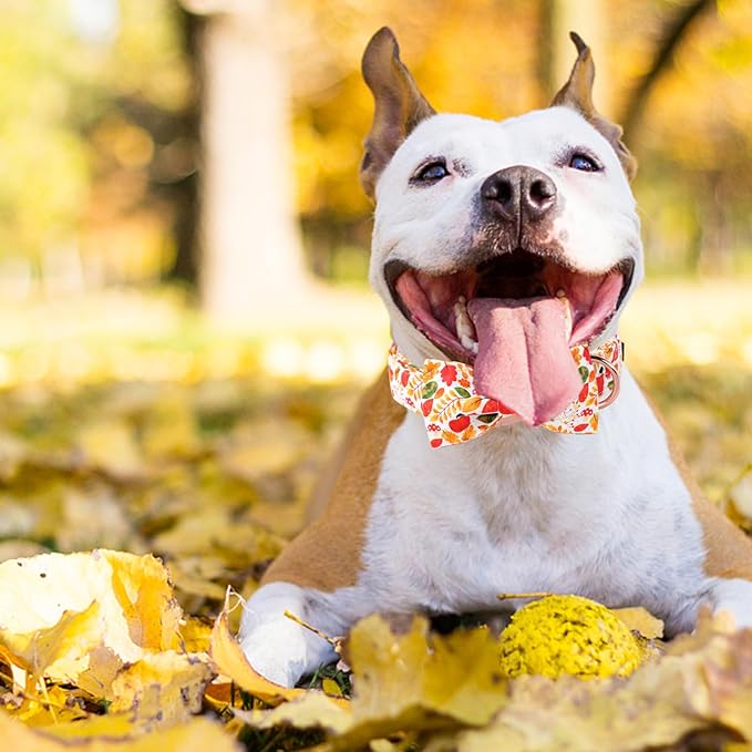 Unique Style Paws Thanksgiving Day Collar with Bow Fruit Leaf Flower Fruit Durable Cute Cotton Dog Collars for Small Medium Large Dogs