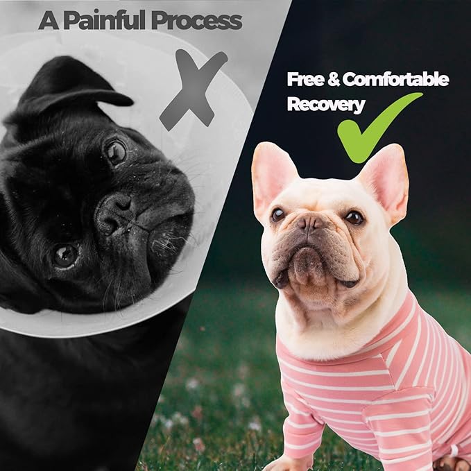 Puppy Cat Onesie for Shedding Skin Disease Wound Protection, Medical Pet Surgical Suit w/Long Sleeve, Dog Pajamas (Pink, X-Large)