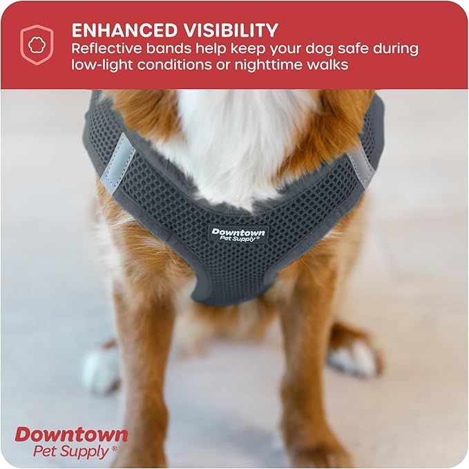 Downtown Pet Supply Step in Dog Harness for Small Dogs No Pull, Medium, Titanium - Adjustable Harness with Padded Mesh Fabric and Reflective Trim - Buckle Strap Harness for Dogs