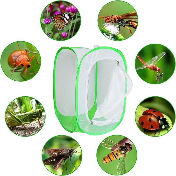 Large Monarch Butterfly Caterpillar Habitat Insect cage pop-up Transparent View with 6 mesh Panels, Foldable and Reusable with a Poop pad for Easy Cleaning (35.4 x 23.6 x 23.6 inches)