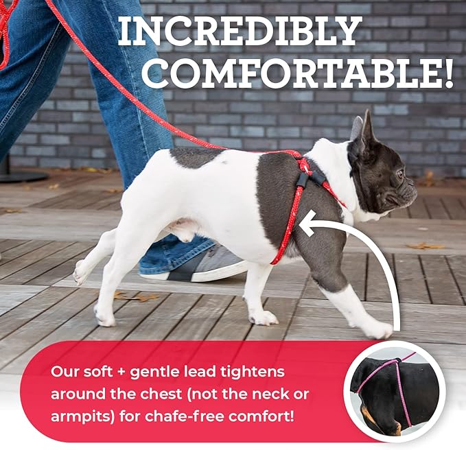 Harness Lead No Pull Dog Harness and Leash Set, Anti Pull Dog Harness, One-Piece Cushioned Rope Safely Prevents Escaping and Pulling *New Insert is Removable (Small/Medium, Purple/Turquoise)