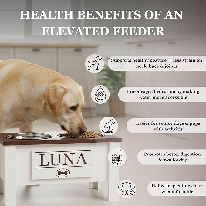 GTW Personalized Elevated Dog Bowl Stand for Large, Medium, Small, X-Small Dogs - Stainless Steel Food and Water Bowls - Raised Dog Dish (Small, Grey)