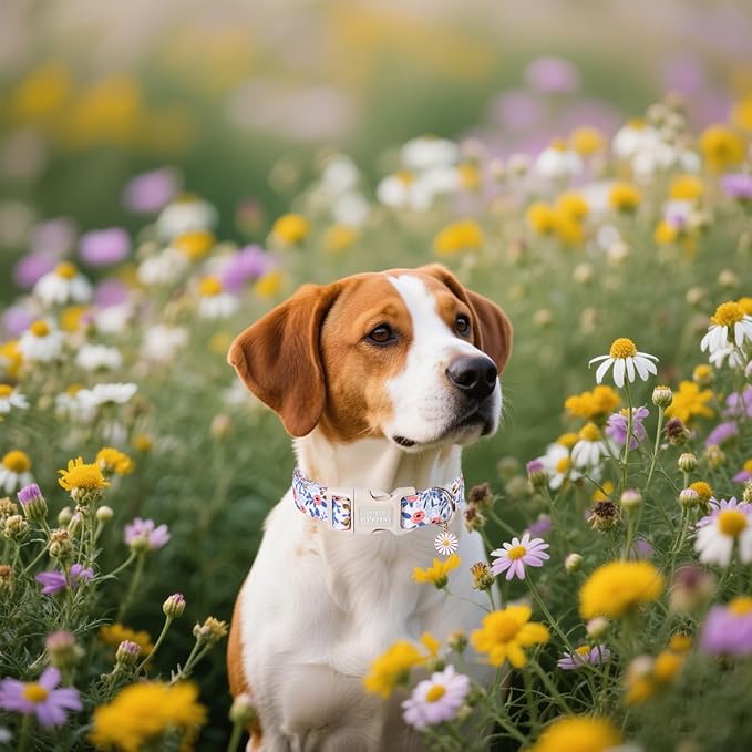 Unique Style Paws Dog Collar Plastic Buckle with Pendant Blue Rose Flower Grid Cotton Puppy Collars for Small Medium Large Dogs