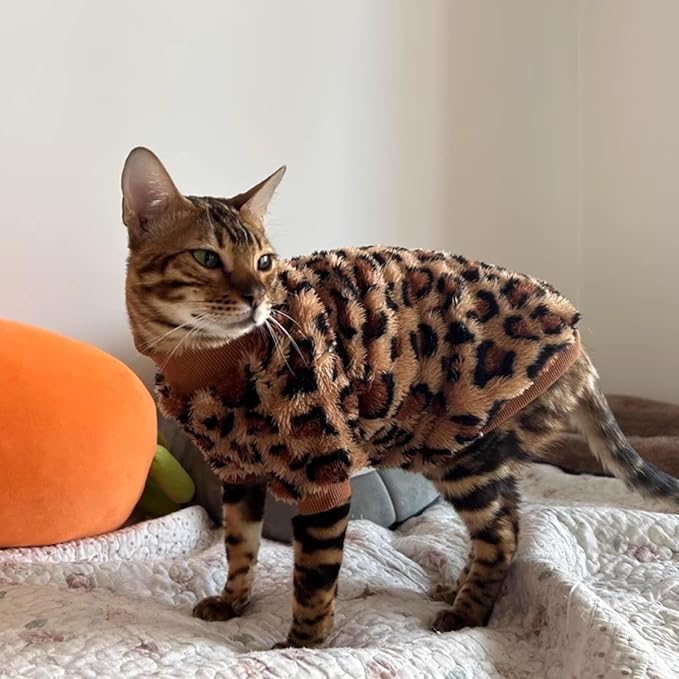 Cat Leopard Double-Sided Fleece Pullover, Soft Warm Clothes for Hairless Sphynx, Devon & All Indoor Kittens in Winter (Leopard,2XL)